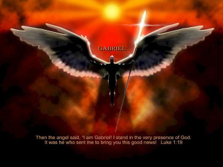 Bird sword angel wings fiery - a picture of a bird free wallpaper