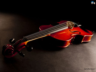 Violin black surface background white - cinematic composition free wallpaper