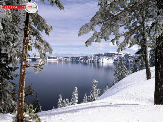 Lake snowy hill trees foreground - a view of a lake free wallpaper
