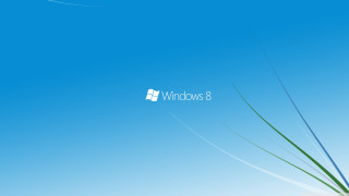 Blue sky white window8 logo - a green plant in the foreground free wallpaper