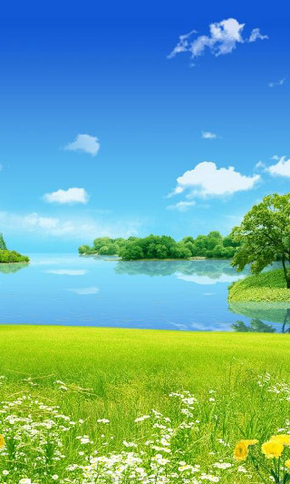 Green field lake flowers trees - beautiful landscape free wallpaper