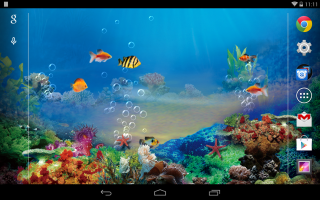 Colorful underwater tablet fish bubbles - fish free wallpaper