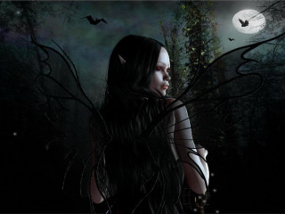 Woman cat shoulder dark forest - her free wallpaper