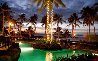 Pool lit palm tree night - a pool free wallpaper for desktop