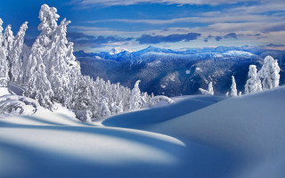 Snowy mountain trees background blue 5 - tree and mountains free wallpaper
