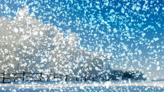 Snow covered tree fence snowfield - a fence free wallpaper