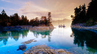 Lake boat trees sunset dawn 2 - the water and trees free wallpaper