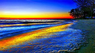 Beach sunset trees shore blue - a sunset free wallpaper