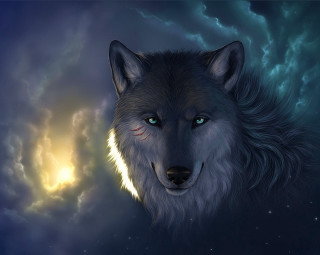 Wolf blue eyes full moon - a wolf free wallpaper