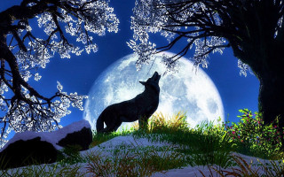 Wolf hill fullmoon trees silhouette - full moon free wallpaper