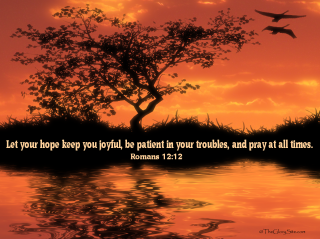 Sunset tree bird water bible - a sunset free wallpaper