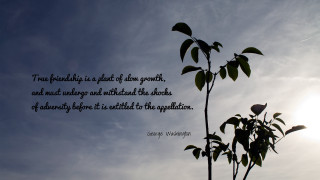 Tree branch quote blue sky - it in front free wallpaper