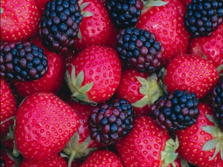 Fresh berries green leaves red - fresh free wallpaper