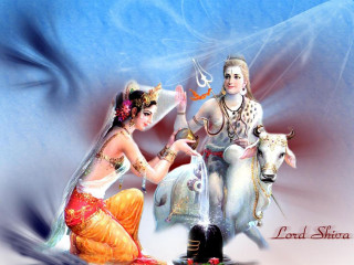 Couple horse sword man woman - an oil free wallpaper