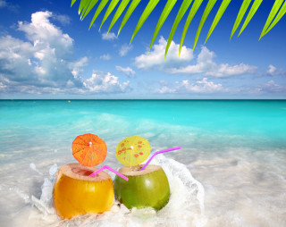 Coconuts umbrellas beach blue water - a palm tree in the foreground free wallpaper