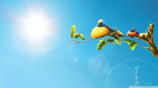 Two birds branch leaves blue - the branch free wallpaper