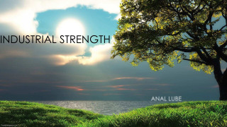 Tree sunset sky love strength - romanticism free wallpaper