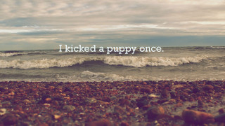 Beach quote kicked puppy once - inspirational free wallpaper