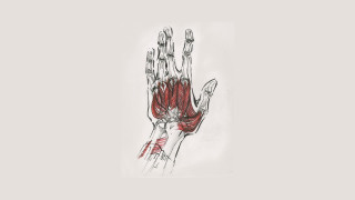 Hand red flower palm red - a red ribbon free wallpaper