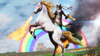 Cat horse riding rainbow firecracker - chris labrooy free wallpaper