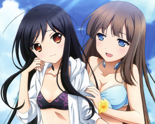 Anime girls blue sky bikini - a blue sky free wallpaper
