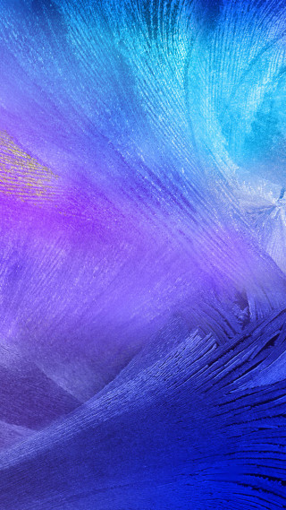 Blue purple bird foreground yellow - left free wallpaper