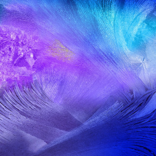 Blue purple feathers pattern background - purple free wallpaper