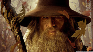 Man long beard leaf hat - weta digital free wallpaper