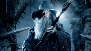 Man long white beard holding - a long white beard free wallpaper