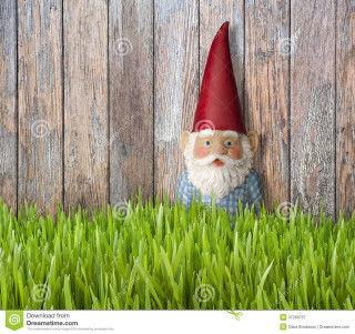 Gnome red hat grass fence - clovis trouille free wallpaper