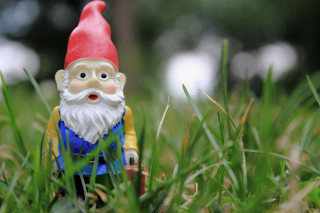 Gnome figurine grass sunny day - ecological art free wallpaper