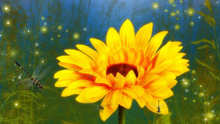 Yellow flower dragon blue sky - a dragon in the background free wallpaper