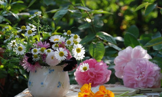 Vase of flowers garden table - a vase of flowers free wallpaper