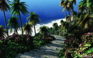 Beach steps palm trees flowers - felipe seade free wallpaper