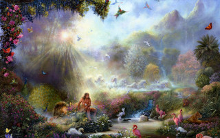 Man animals flowers forest waterfall - christophe vacher free wallpaper