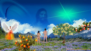 Man fruit trees angels blue - a painting of a man free wallpaper