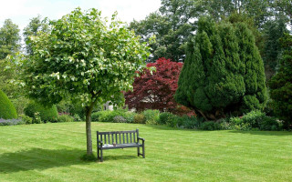 Bench park tree lawn garden - a green lawn free wallpaper