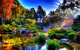 Pond trees grass park bridge - a park free wallpaper