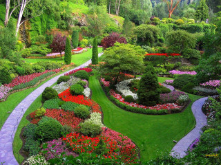 Garden pathway flowers trees bushes - a path free wallpaper