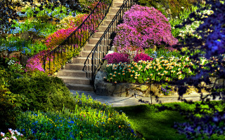 Garden staircase flowers surrounding ground - a staircase free wallpaper