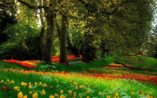 Field of flowers and trees - arthur quartley free wallpaper