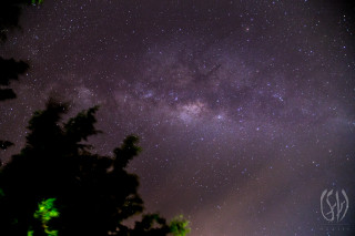 Night sky stars tree clouds - astrophotography free wallpaper