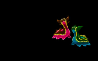 Colorful bird flying dark sky - digital art free wallpaper