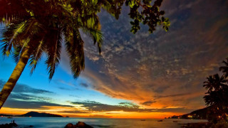 Sunset beach palmtrees boat mountain - palm tree and a boat free wallpaper