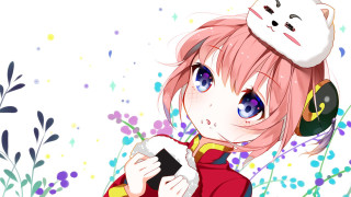 Girl cat phone head holding - her hand and a cat free wallpaper