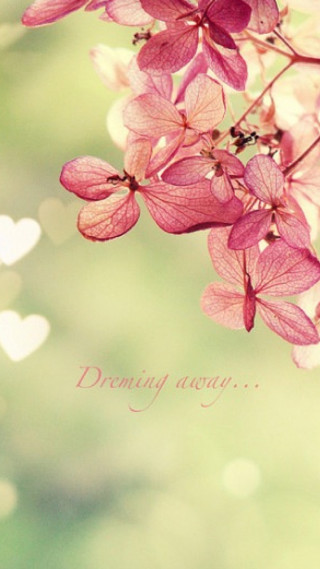 Pink flower hearts green background - a pink flower free wallpaper