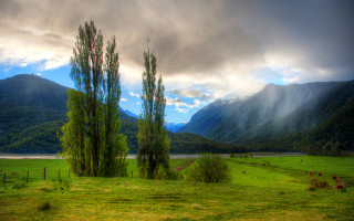 Grassy field trees mountains cloudy - cloudy free wallpaper
