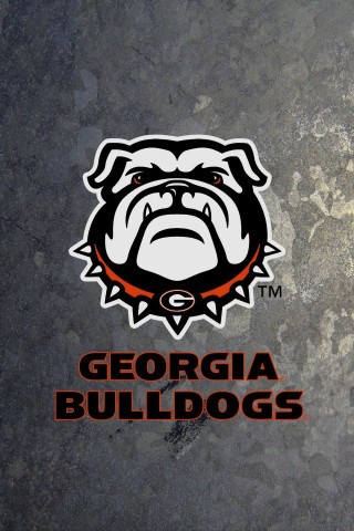 Dog face stone surface georgia - logo free wallpaper