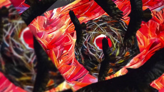 Colorful abstract bird nest red - a colorful abstract painting free wallpaper