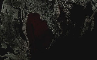 Black white red spot ground - subsurface free wallpaper
